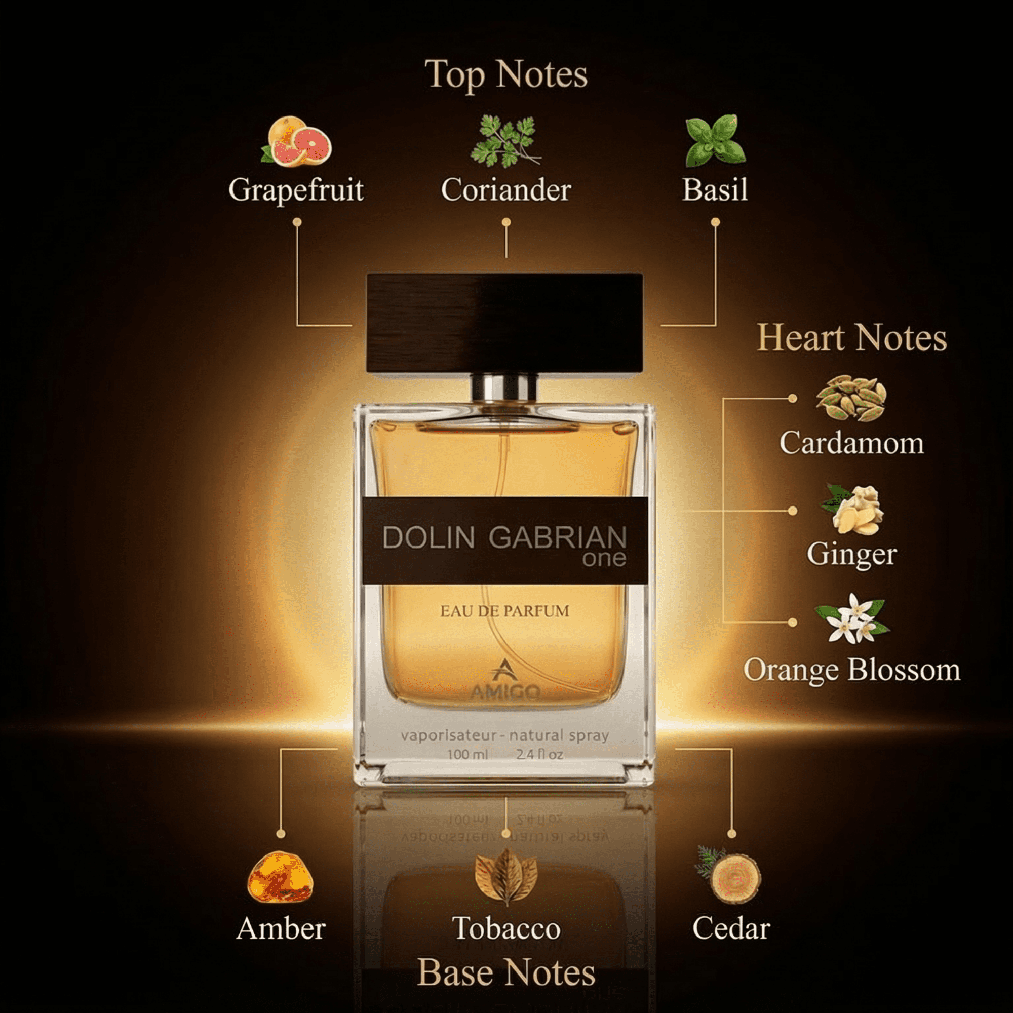 DOLIN GABRIAN ONE NOTES